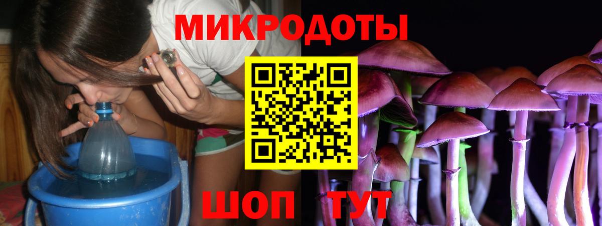 Галлюциногенные грибы прущие грибы Кострома
